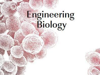 Das Cover des BRAIN Geschäftsberichts des Geschäftsjahrs 2015/16 trägt den Titel: 
"Engineering Biology".
Der Bericht wurde am 16.01.2017 pu