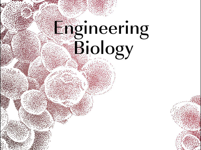 Cover des BRAIN Geschäftsberichts 2015/16 „Engineering Biology“